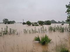
      
      Odisha floods: Over 300 students affected in Kendrapara school
      
      