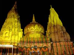 
      
      Nag Panchami: Kashi Vishwanath Dham decked up in flowers, lights 
      
      