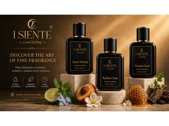 
      
      5 Best Affordable Long-Lasting Luxury Perfumes for Men
      
      