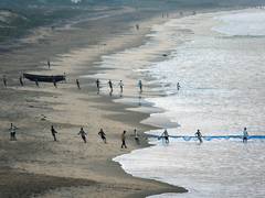 
      
      Andhra: Eight fishermen missing after setting out from Odalarevu
      
      