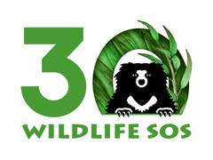 
      
      Wildlife SOS rejects poaching nexus allegations
      
      
