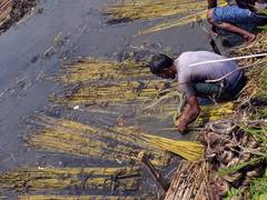 
      
      Farmers demand water for KC canal as Srisailam
      
      