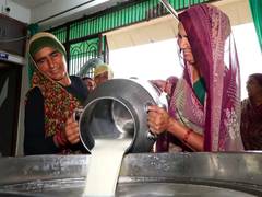 
      
      Women power Gujarat’s dairy revolution, take charge from milk col
      
      
