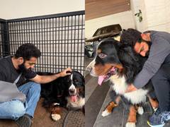 
      
      Jr NTR mourns passing of pet dog Bagheera
      
      