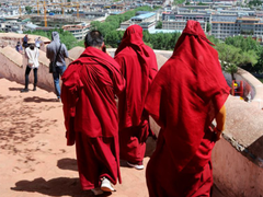 
      
      Dalai Lama photo lands Chinese activist in jail
      
      