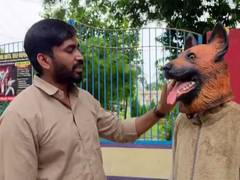 
      
      Man in dog mask protests over stray dog sterilisation in MP
      
      