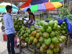
      
      India’s coconut sector: From the tree of life to global prominenc
      
      
