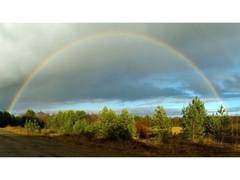 
      
      Building Global Applications with Reliable Weather Data
      
      