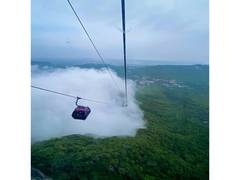 
      
      Gujarat’s 'Udan Khatola' ropeways see record footfall
      
      