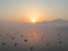 
      
      US military moves 15 mn barrels through Hormuz amid Iran tensions
      
      