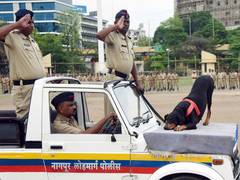 
      
      Maharashtra retains retired police dogs at state expense
      
      