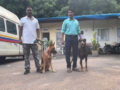 
      
      Navi Mumbai dog handlers welcome State's decision
      
      