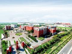 
      
      Chandigarh University Provides In-House Training
      
      