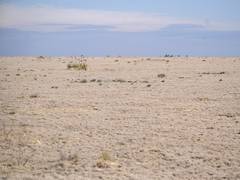 
      
      CoP 17: India calls for predictable global green finance 
      
      