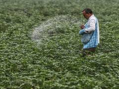 Centre proposes complete ban on Carbosulfan insecticide over health, environmental risks