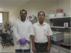 
      
      IIT Guwahati researchers develop low-cost water treatment tech
      
      