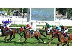 
      
      Court refuses to stay eviction of Delhi Race Club
      
      