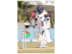 
      
      Sri Lanka tail-enders outlast openers during two Tests...
      
      