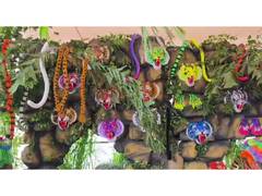 
      
      Thrissur gears up for Pulikali 
      
      