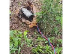 
      
      Farmer escapes after land bomb explodes in borewell motor starter
      
      