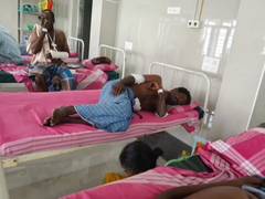 
      
      TN: 4 farmers injured in wild boar attack in Ramanathapuram
      
      