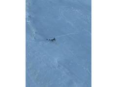 
      
      Indian Army execute high-altitude rescue at 18,600 feet
      
      