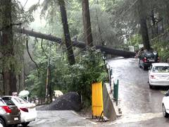 
      
      Himachal: Monsoon death toll hits 250 in 61 days
      
      