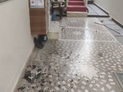 
      
      Congress workers target BJP leader's residence in Telangana
      
      