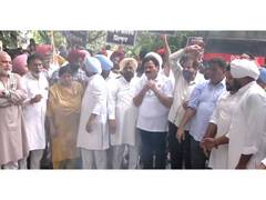
      
      Punjab Congress leaders protest against FIR on Rahul Gandhi
      
      