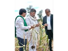 
      
      CM DK Shivakumar inspects drought situation
      
      
