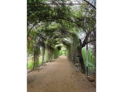 
      
      Sikar’s Smriti Van gets 685.393-metre green pergola walkway
      
      