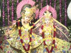 
      
      Janmashtami fervour grips temples across India as devotees join c
      
      