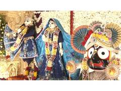 
      
      India celebrates Janmashtami with vibrant displays of devotion 
      
      