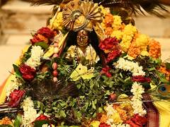 
      
      UP: Laddu Gopal appears with Shri Vishweshwar during mangal aarti
      
      