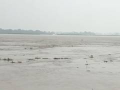 
      
      Bihar: Ganga crosses danger mark by 1.91m, flood alert issued
      
      