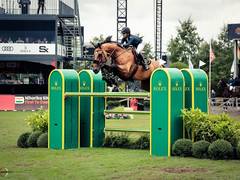 
      
      Niharika Singhania Shines at Brussels Stephex Masters
      
      