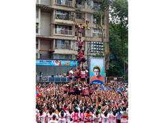 
      
      Mumbai: Injured toll rises to 118 during Dahi Handi celebrations
      
      