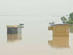 
      
      Rising Ganga water triggers flood concerns in Patna, Katihar
      
      