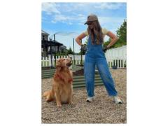 
      
      Internet’s favourite Golden Retriever Tucker dies
      
      