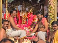 
      
      Tiruchendur temple festival
      
      