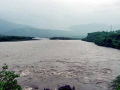 
      
      Tripura: School student drowns in Udaipur's Jagannath Dighi
      
      