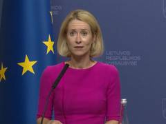 
      
      EU must secure reciprocal terms in Ukraine peace deal: Kallas
      
      