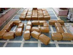 
      
      DRI seizes 375.95 kg ganja, arrests 4 in Raipur
      
      