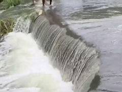 
      
      Kosi breaches embankment in Navgachia
      
      