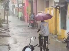 
      
      Odisha: Low-pressure system triggers heavy downpours
      
      