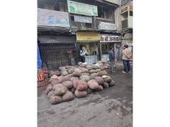 
      
      FDA seizes paneer, khoya in Pune ahead of Ganeshotsav
      
      
