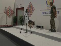 
      
      BRICS Summit: Tight security arrangements, dog squads deployed
      
      