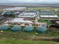 
      
      India has 62 MMT annual compressed biogas potential; animal waste
      
      