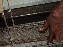 
      
      Chhattisgarh: Gholeng emerges as hub for modern textile weaving
      
      