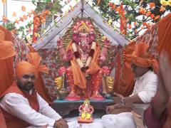 
      
      Ganesh Chaturthi procession in Shimla draws people 
      
      